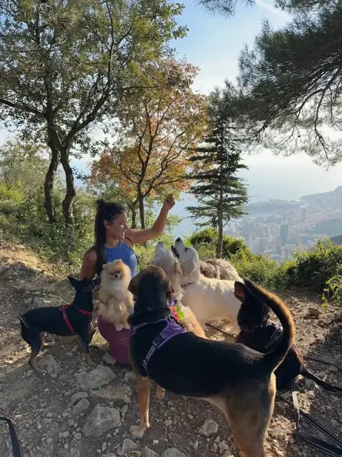 Woof Sitter