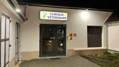 Baumgarte Aude , Charles Chapplain et Collin Aurélia