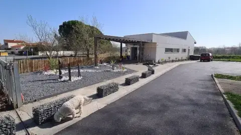 Catalan Veterinary Clinic