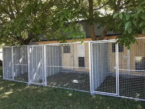 Animal Sitting Services
