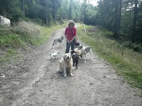 Pension Canine Chez Sophie