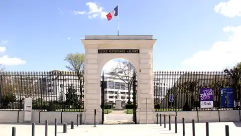 Alfort National Veterinary School