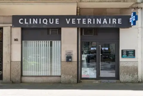 Mon Véto Lyon SAXE