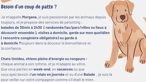Service au animaux