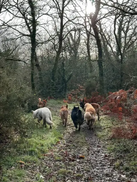 Axel Le Moing, éducateur canin