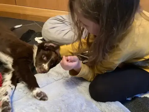 Un petit coup de patte
