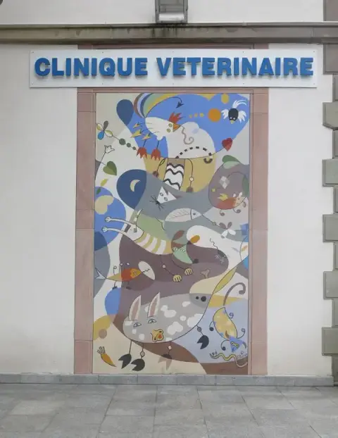 Clinique Vétérinaire de la Vallée (DR REMY et DR HESSE)