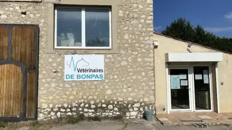 Vétérinaires De Bonpas
