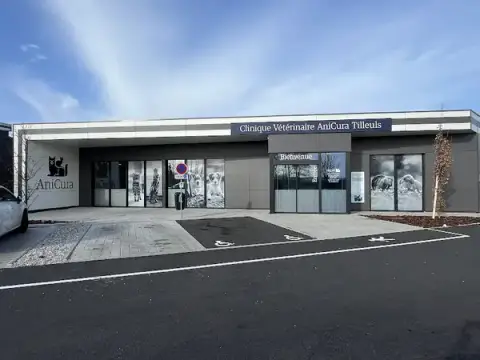 Veterinary Clinic Tilleuls