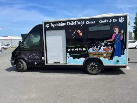 Typhaine Toilettage
