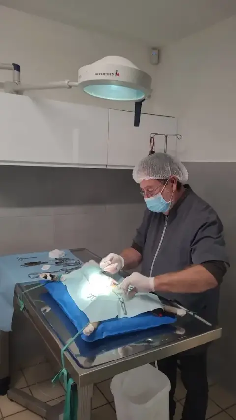 Clinique Vétérinaire Mont-Vet