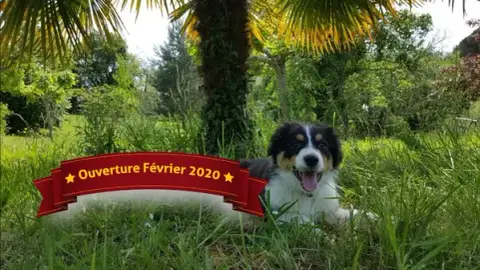 APCF - 'Chez Alex' - Pension Canine