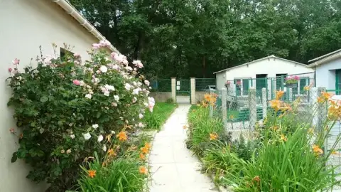SPDA