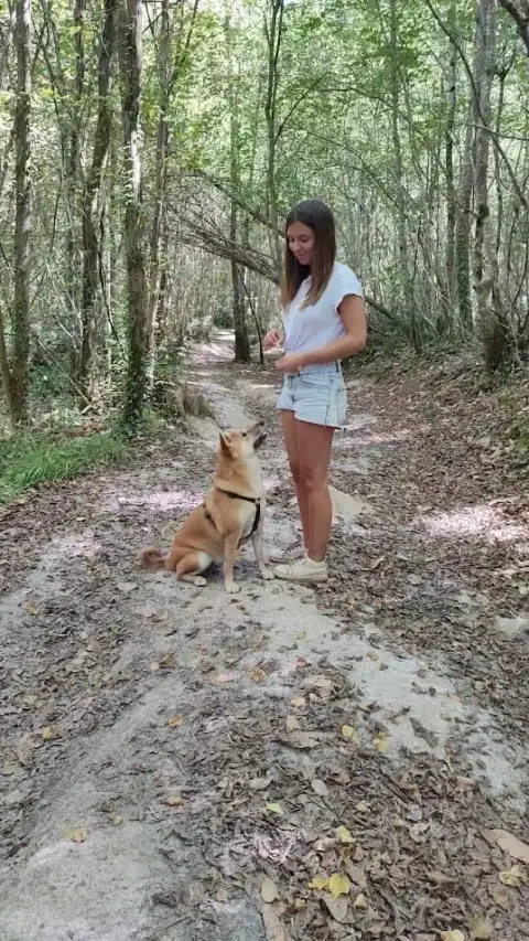 Pet Vadrouille - Pet-sitter et comportementaliste félin Bordeaux
