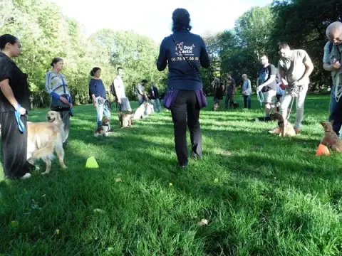 Dog Déclic - Éducateur canin et comportementaliste pour tous les chiens : Bourgoin-Jallieu