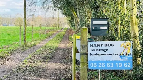 Nany'Dog Toilettage