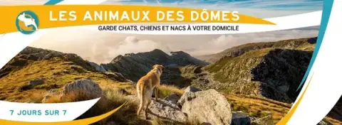 Les Animaux des Dômes
