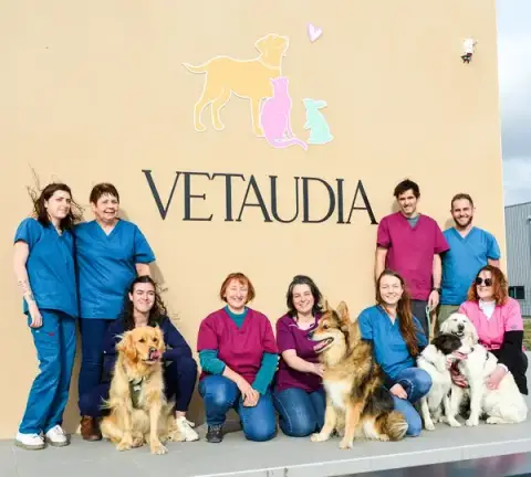 Clinique Vétérinaire VETAUDIA