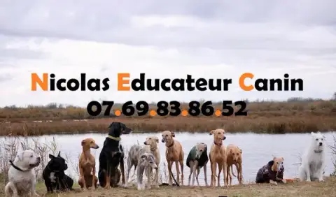 Nicolas Educateur Canin