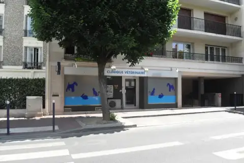 Veterinarian Dr. Florence Bar Clinic