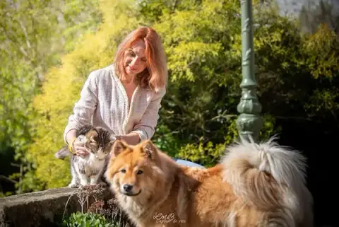 Chien, Chat, Mode D'emploi