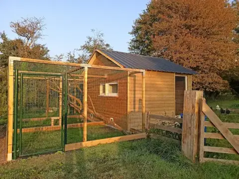 Au Bonheur des Chats : Pension féline pour chats (Manche 50 - Saint-Floxel)