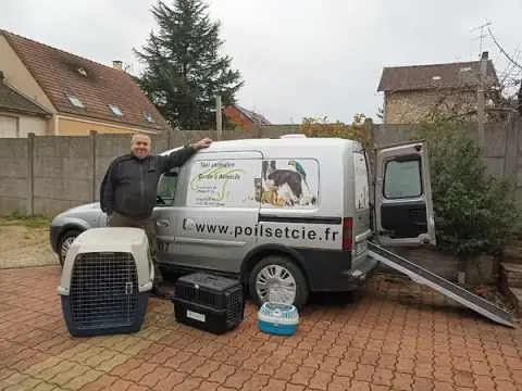 Poils et cie