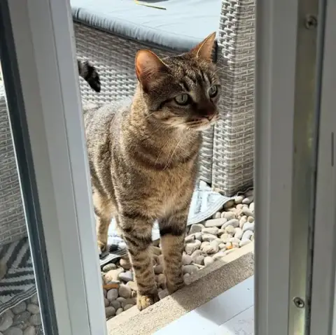 AD Petsitting | Gardienne d'animaux