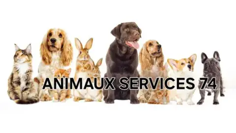 Animaux services 74