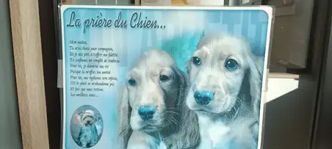 Clinique Vétérinaire