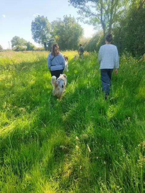 Liberty Dog - Éducateur Comportementaliste canin à domicile - Pet sitting - Pension familiale (49)