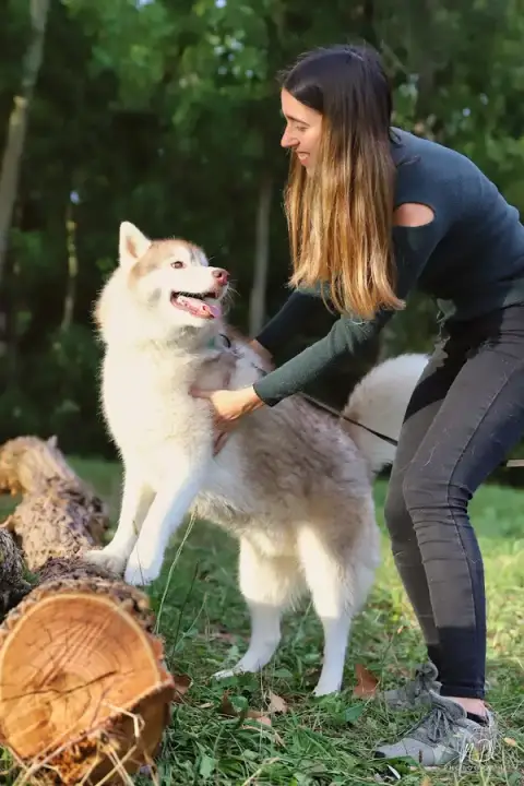 Melicanin éducateur canin