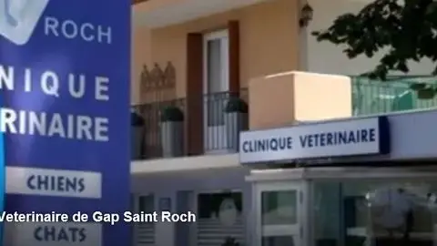 Clinique Veterinaire SAINT ROCH