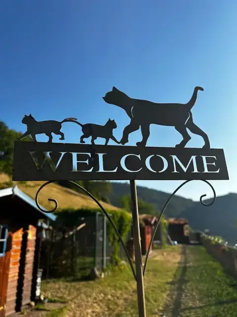 Pension pour chats Mountain Cats Paradis
