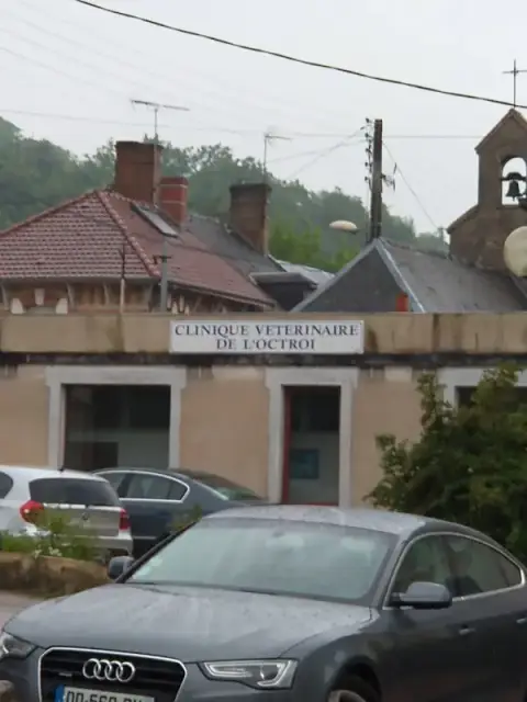 Clinique Vétérinaire de l'Octroi