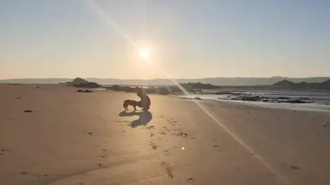 Les Echappées Canines
