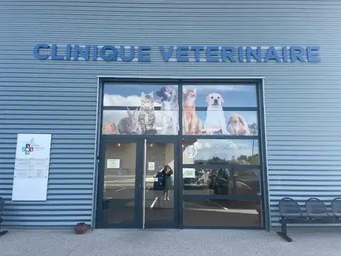 Alpine Veterinary Clinic