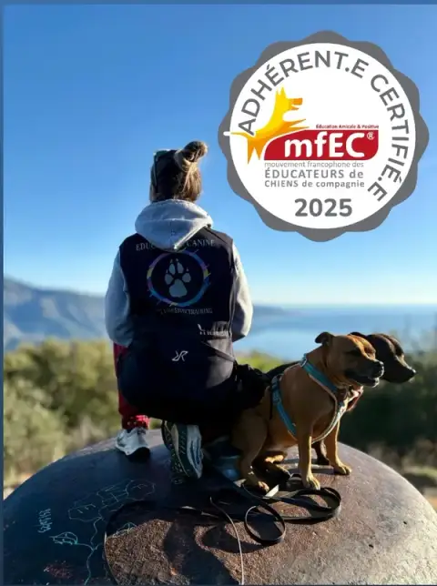 DOG PAWSITIV'TRAINING Éducation Canine Bienveillante Méthode Positive Certifiée MFEC