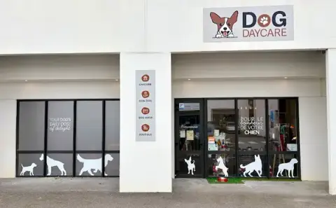 DOG DAYCARE