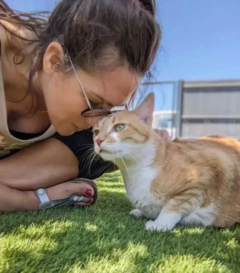 Entre chiens & chats