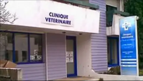 Veterinary Edges Adour Clinic