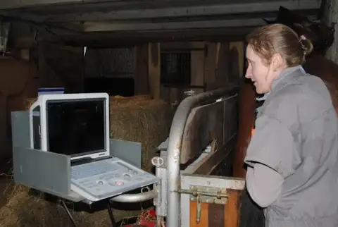 equin.vet - vétérinaire équin à domicile (DPE)