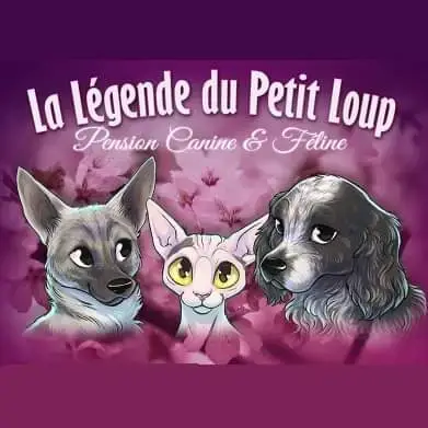 La Legende Du Petit Loup