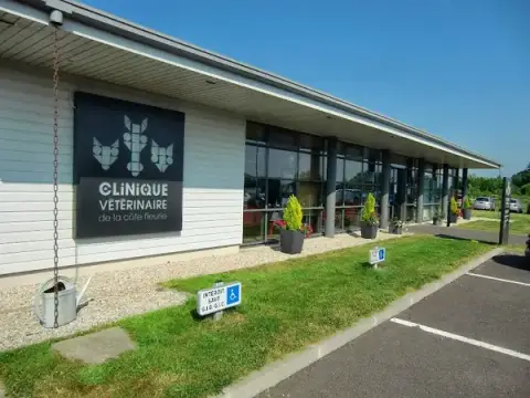 Veterinary Clinic of the Côte Fleurie