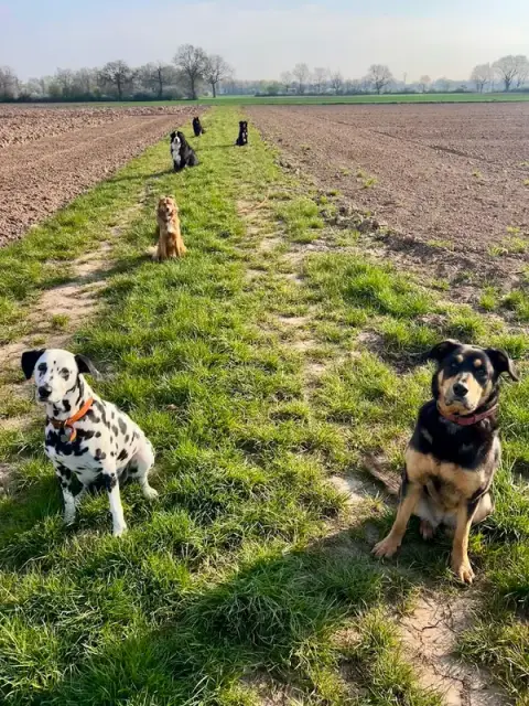 L'échappée Bêtes - Garde cocooning pour chiens et chats