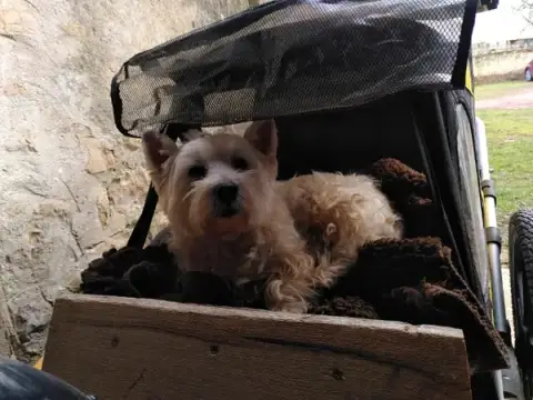 La Niche de Claudia
