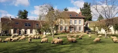 Caninature