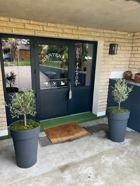 Dog'Factory