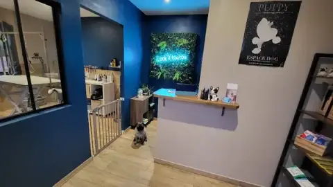 Look'à'Toutou