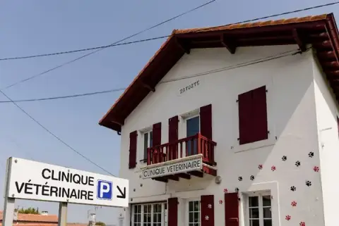 Veterinary clinic Zatozte - Medan and Dr. De Odriozola
